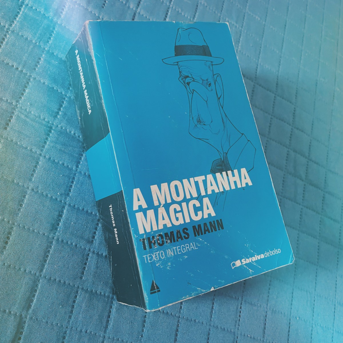 Resenha | A Montanha Mágica – Thomas Mann – Leitor dos Sonhos