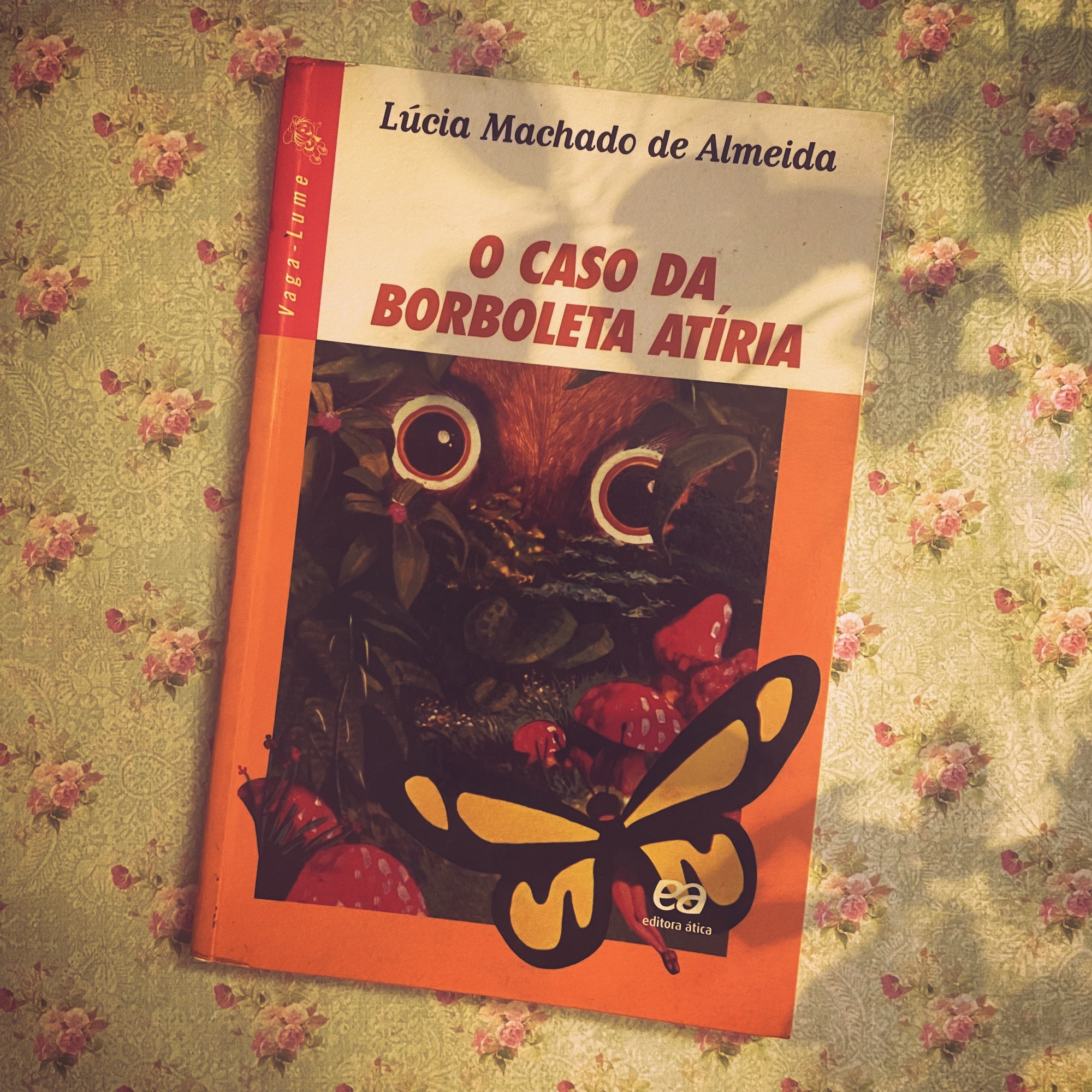 Resenha do Livro O Caso da Borboleta Atíria, de Lúcia Machado de ...